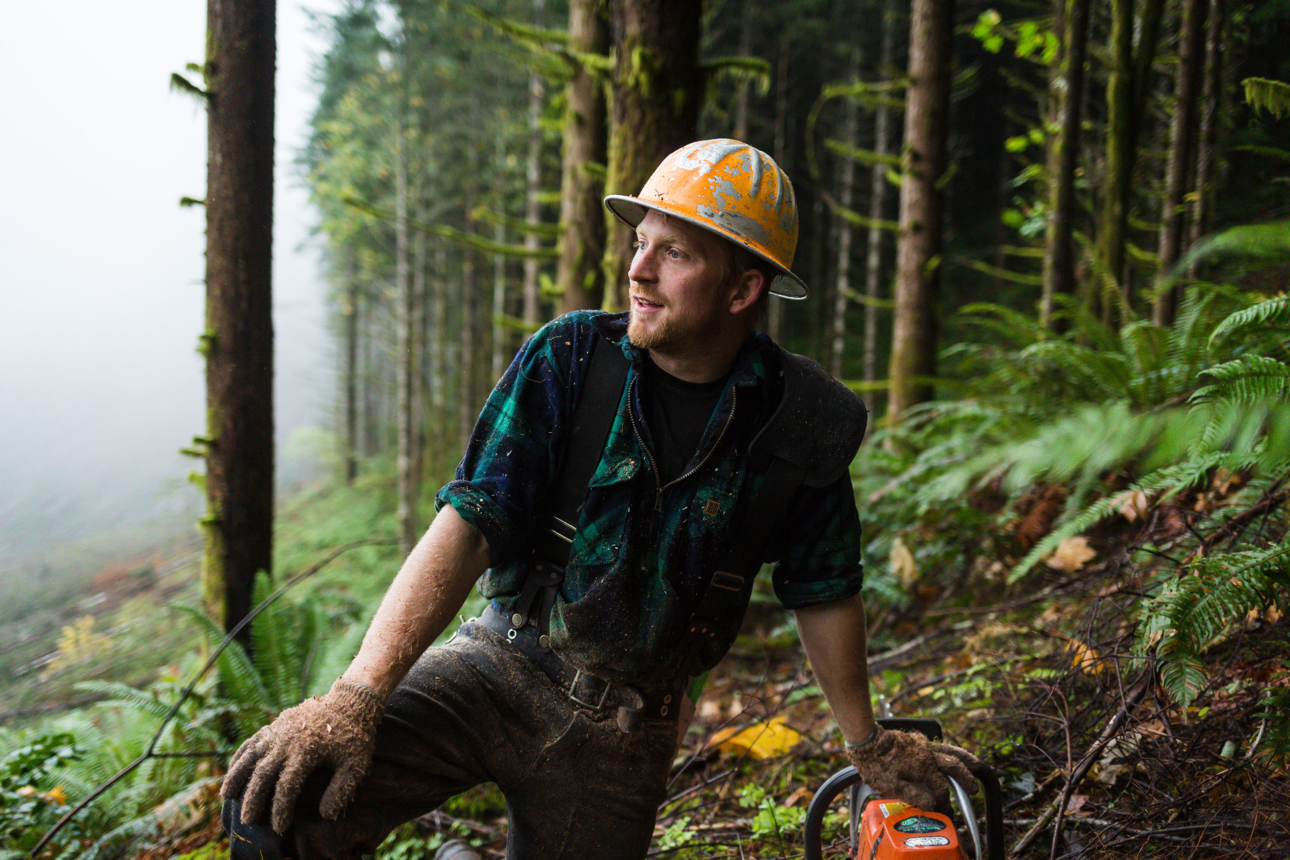 Roseburg Forest Products Case Study